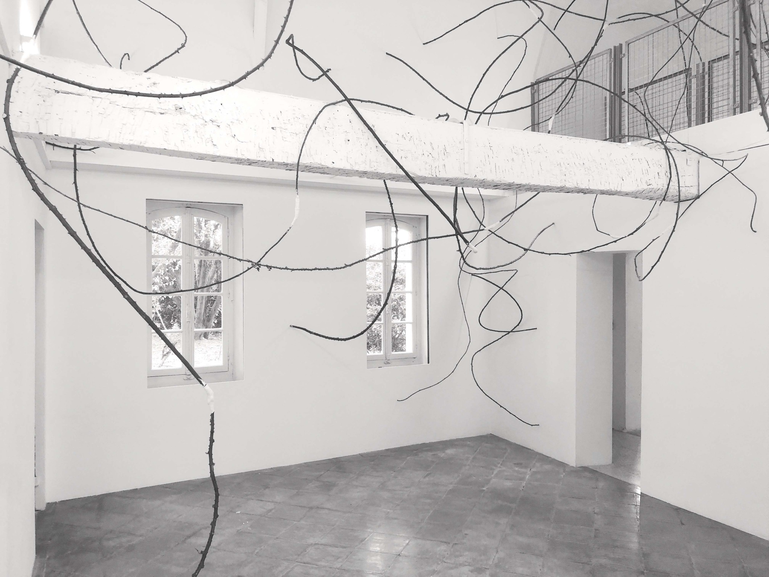 Exposition « Ronce », centre d’art contemporain Maison Salvan , Labège. Photo Jan Kopp, ADAGP, 2023